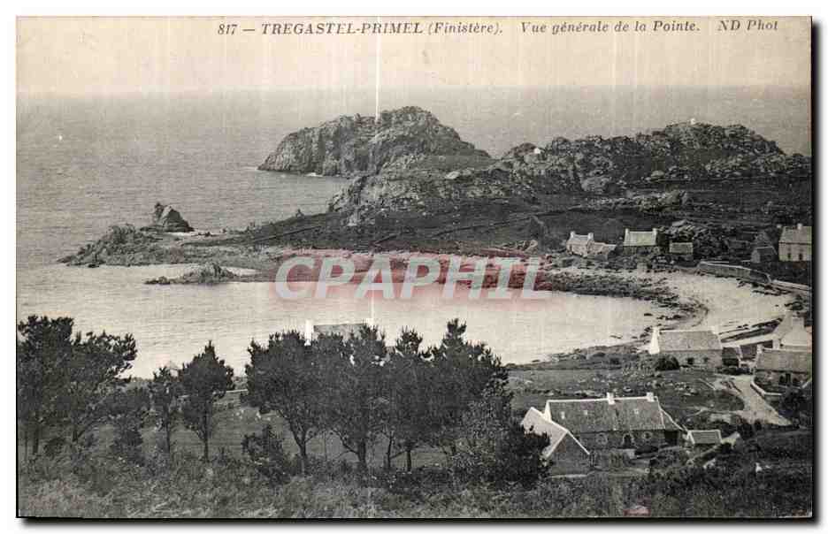 CPA Tregastel Primel (Finistere) Vue generale de la Pointe