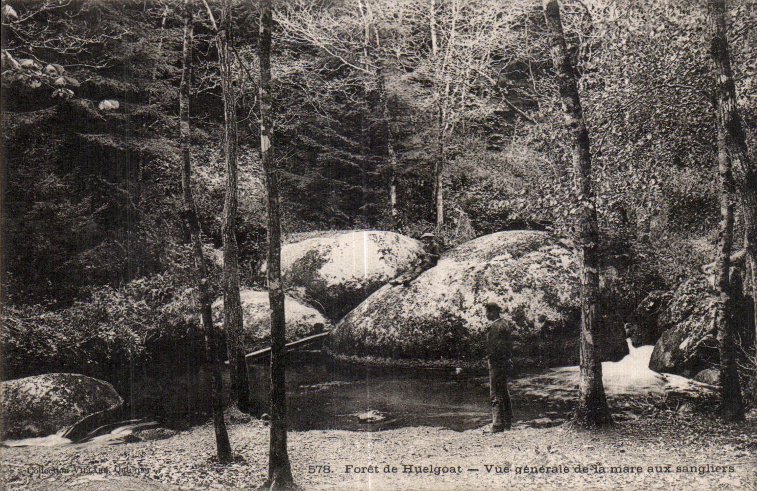 CPA Foret de Huelgoat Vue generale de la mare aux sangliers