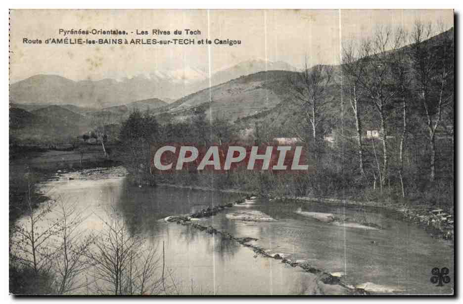 CPA Pyrenees Orientales Les Rives du Tech Route d Amelie les Bains a Arles sur Tech et le Canigou