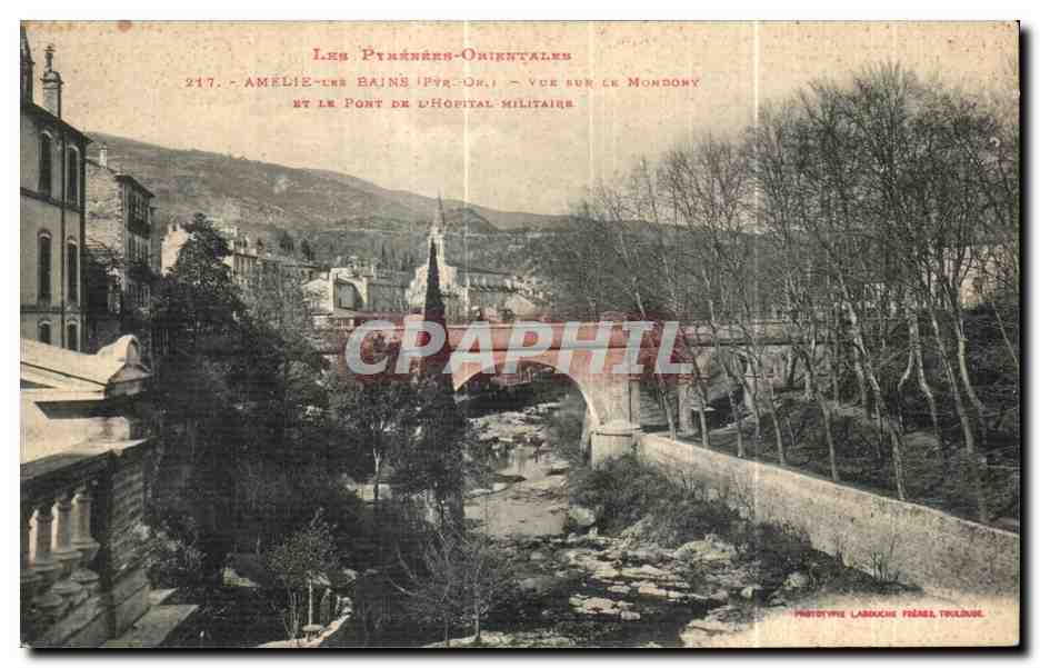 CPA Amelie Les Bains Per Vue Sur Le Mondony Et Le Pont Du I Hopital Militaire