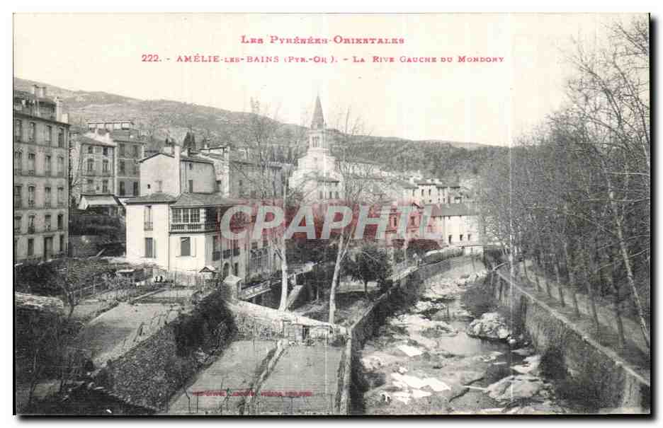 CPA Amelie Les Bains La Rive Gauche Du Mondony