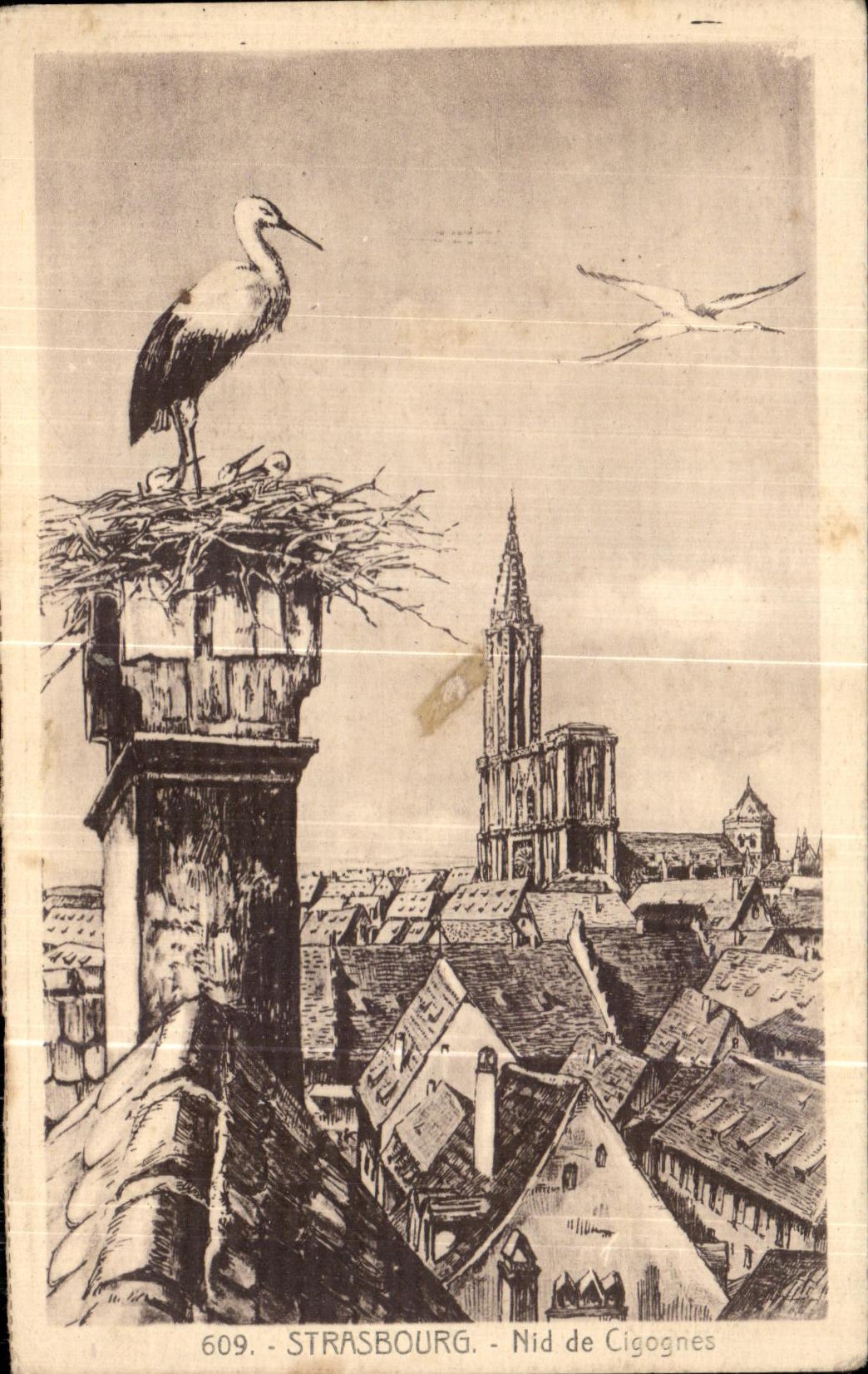 CPA Strasburg Nid de Cigognes Strasbourg