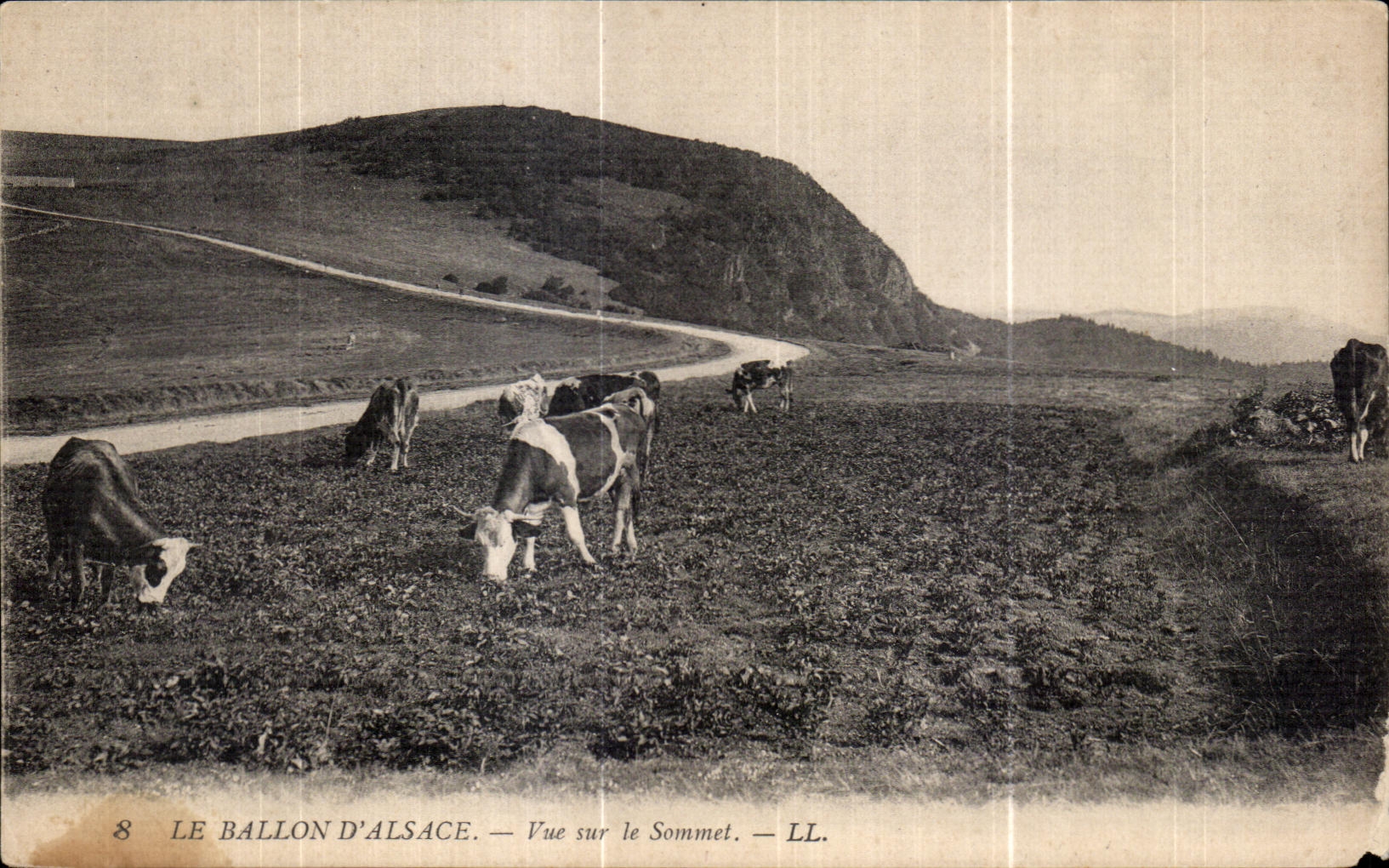 Le Ballon d'Alsace — Vue sur le Sommet — LL.