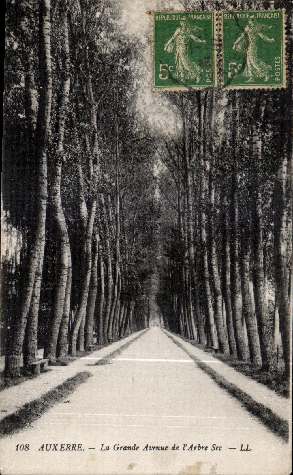 CPA Auxerre La Grande Avenue de l Arbre Sec