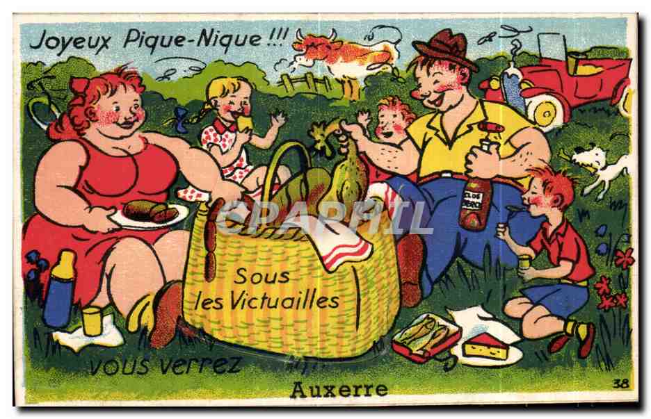 CARTE SYSTEME Auxerre Joyeux Pique Nique