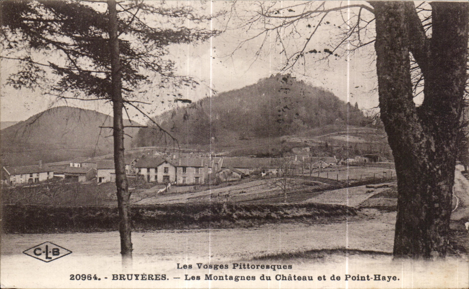 CPA Les Vosges Pittoresques Bruyeres Les Montages du Chateau et de Point Haye