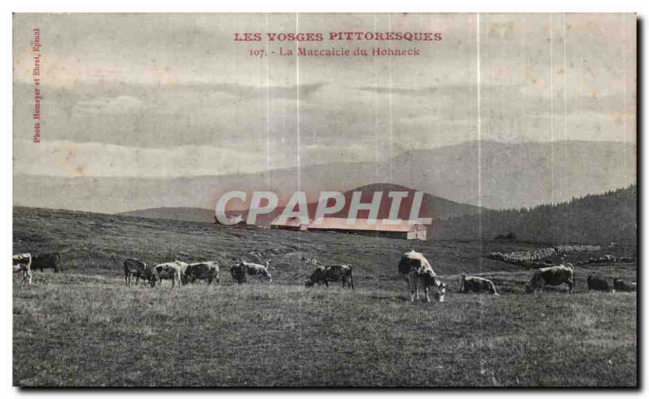 CPA Les Vosges Pittoresques La Marcairie du Hohneck