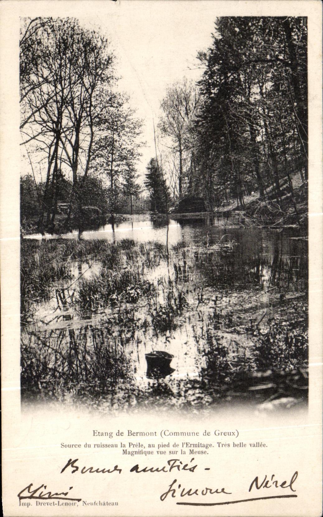 CPA Etang de Bermont (Commune de Greux) source du ruisseau la Prole au pied de l Ermitage 