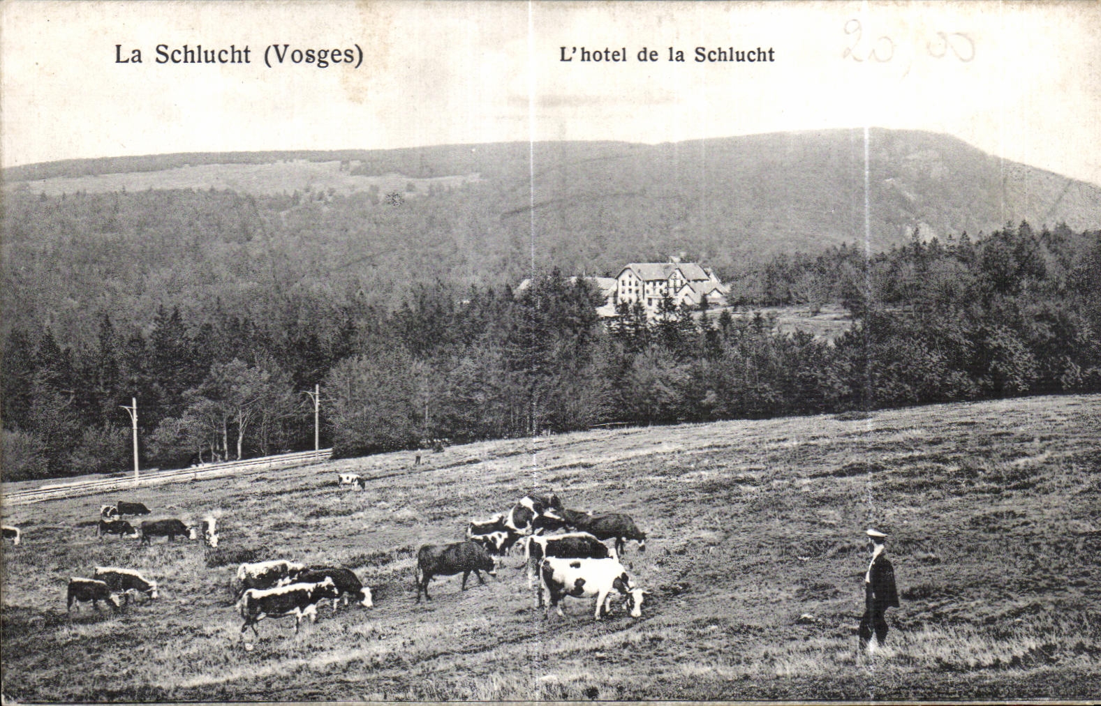 CPA La Schlucht L hotel de la Schlucht Vaches