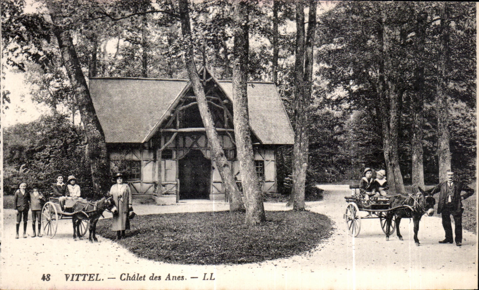 CPA Vittel Chalet des Anes Ane Donkey 