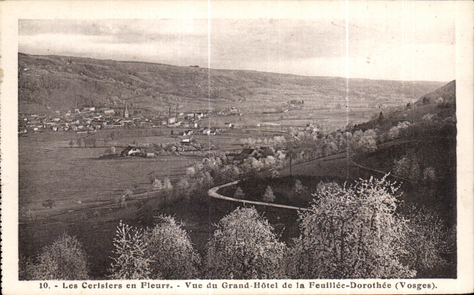 CPA Les Cerisiers en Fleure Vue du Grand Hotel de la Feuillee Dorothee (Vosges)