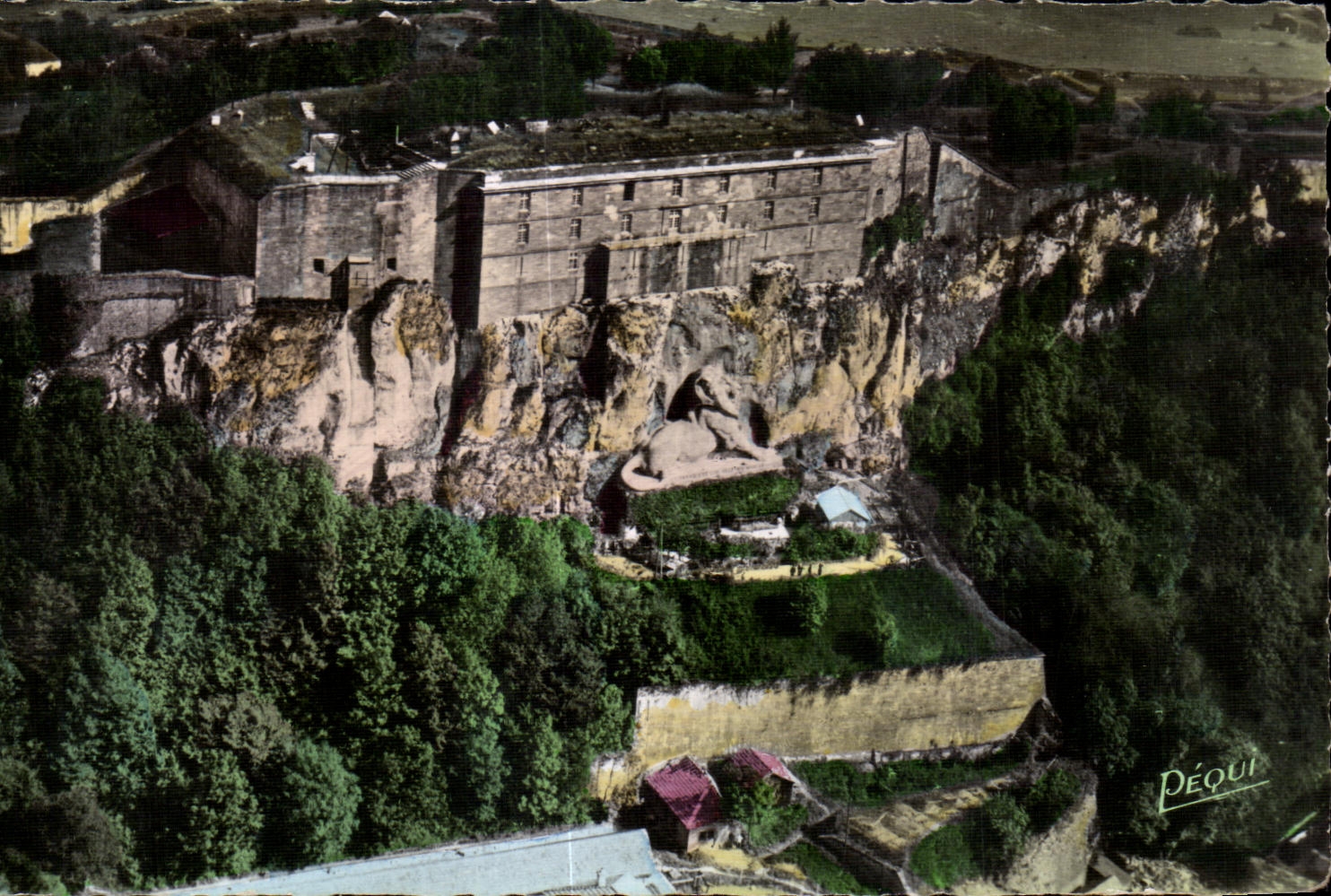 CPA Belfort Le Chateau Lion 
