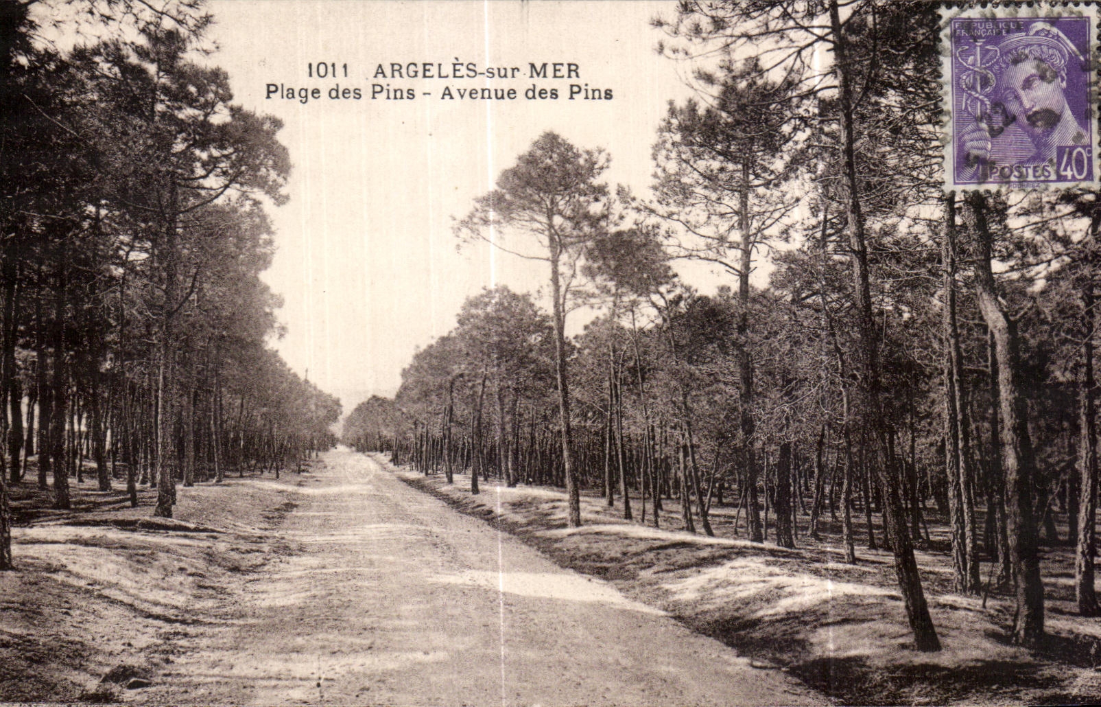 CPA Argeles sur Mer Plage des Pins Avenue des Pins