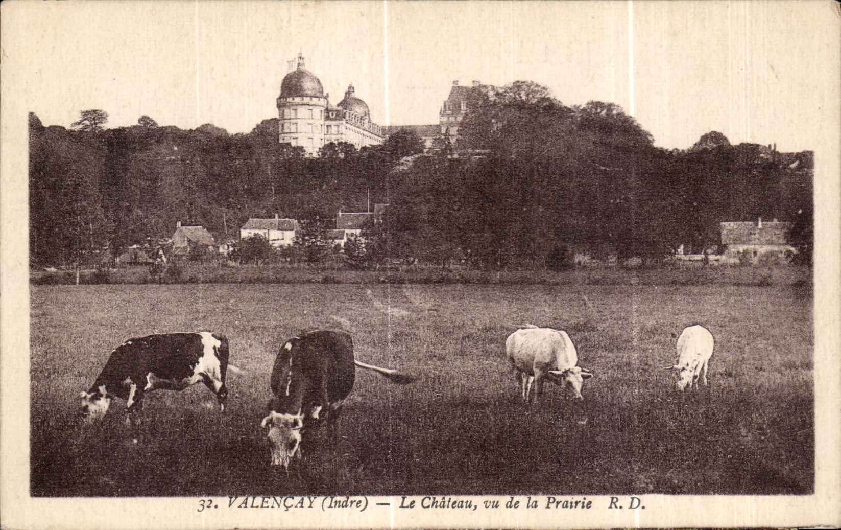 CPA Valencay Le Chateau vu de la Prairie Vaches 