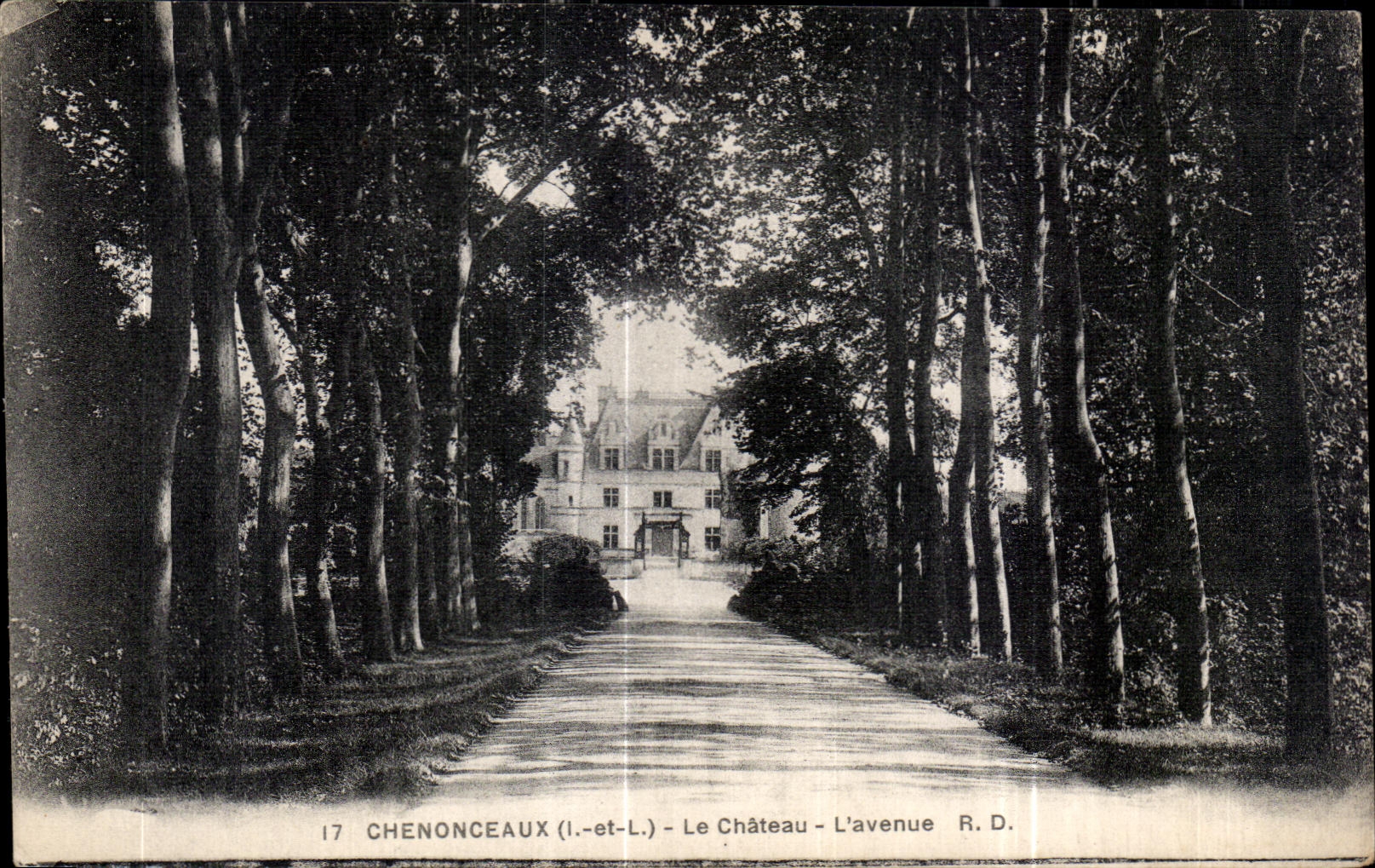 CPA Chenonceaux Le Chateau Le Chateau L avenue