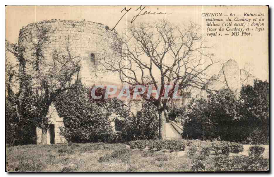 CPA Chinon Ruines des Chateaux du Coudray et du Milieu Donjon et Logis