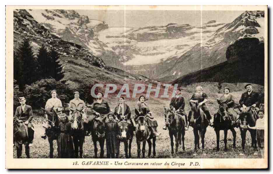 CPA Gavarnie Une Caravane en Retour du Cirque Ane Donkey