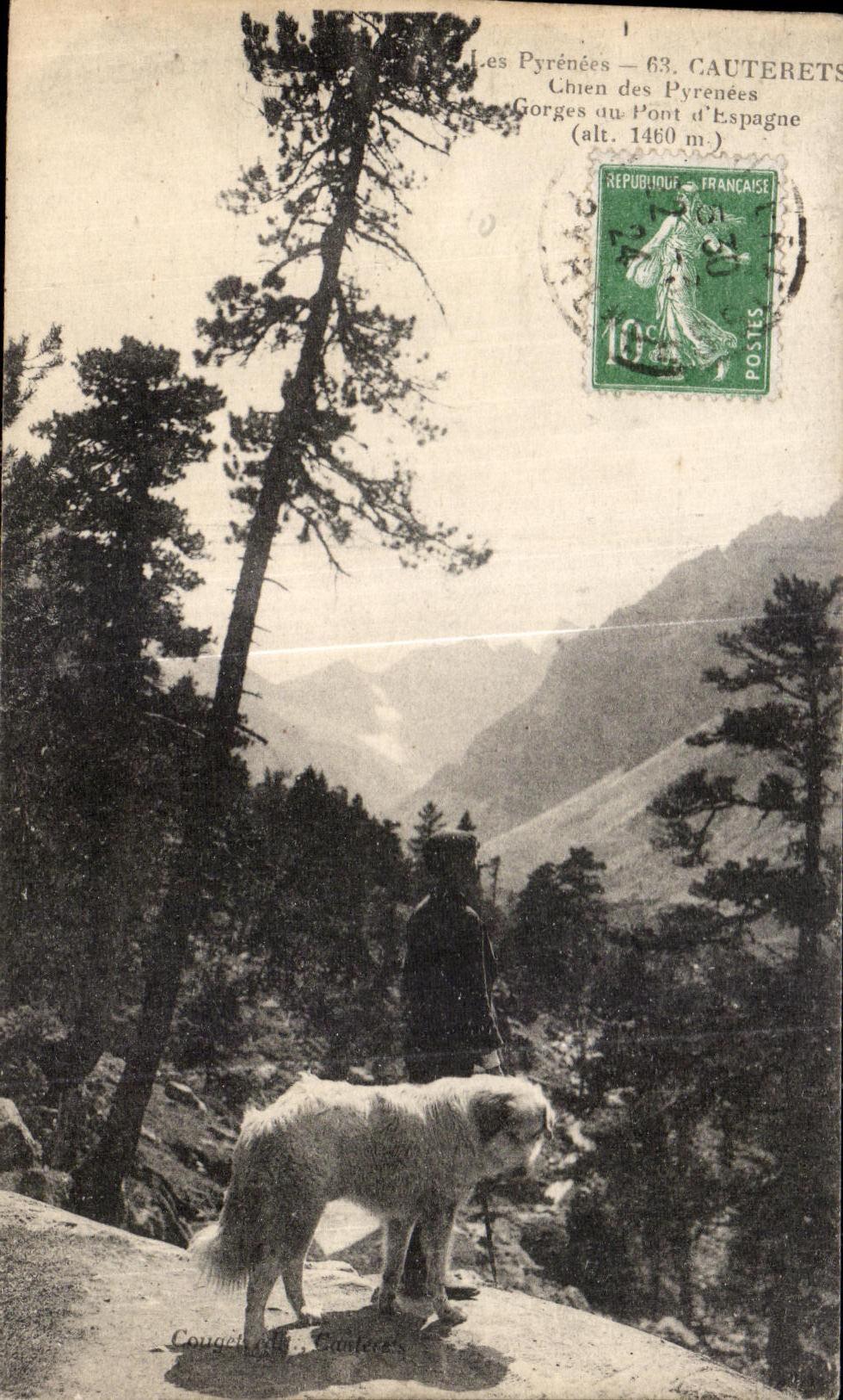 Les Pyrénées — Chien au Pont d’Espagne (alt. 1460 m) — Cauterets, éditeur Cougach & Cunlece