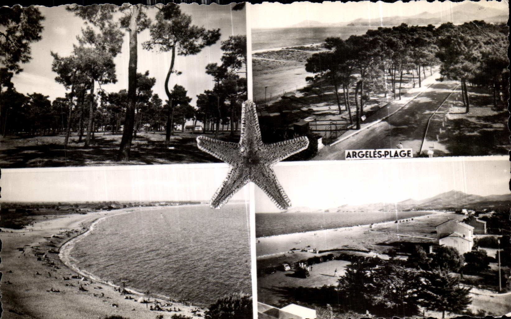 CPA Argeles Plage 