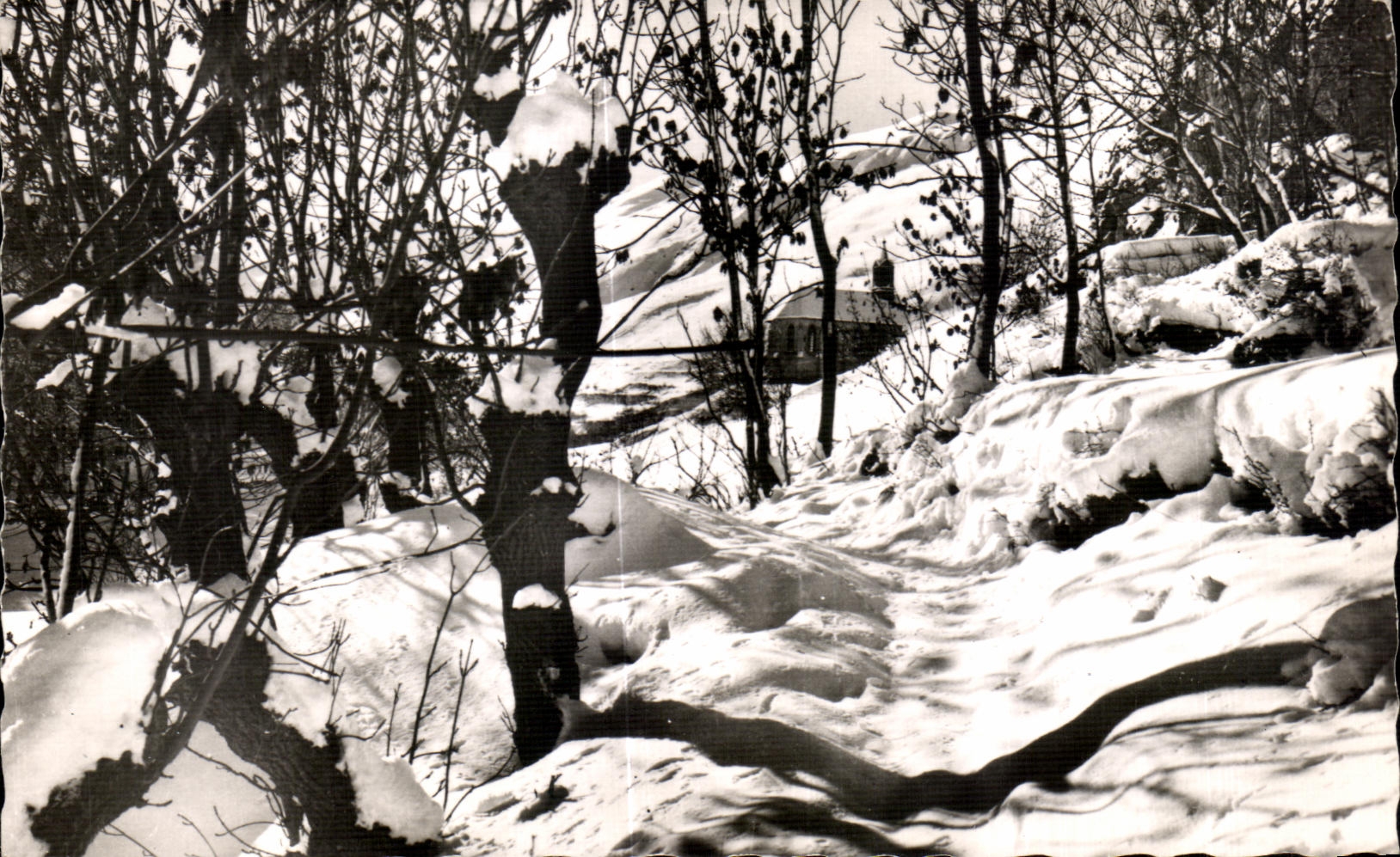 Valloire (1430 m.) — Sous-bois et Chapelle Saint Pierre — Édition E. GRANGE, Valloire (n° 761)