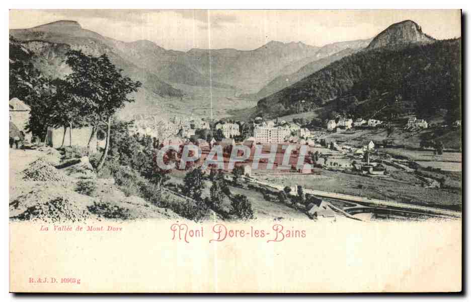 CPA Mont Dore les Bains La vallee du Mont Dore