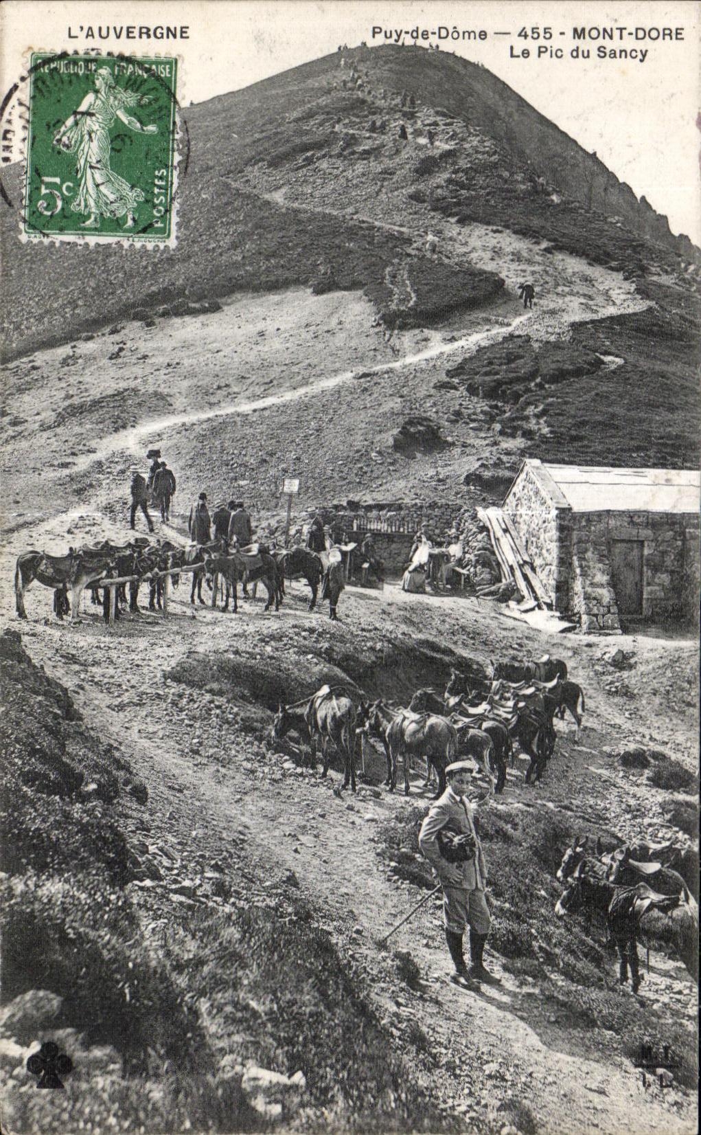 CPA L Auvergbe Puy de Dome Mont Dore Le Pic du Sancy Ane Donkey