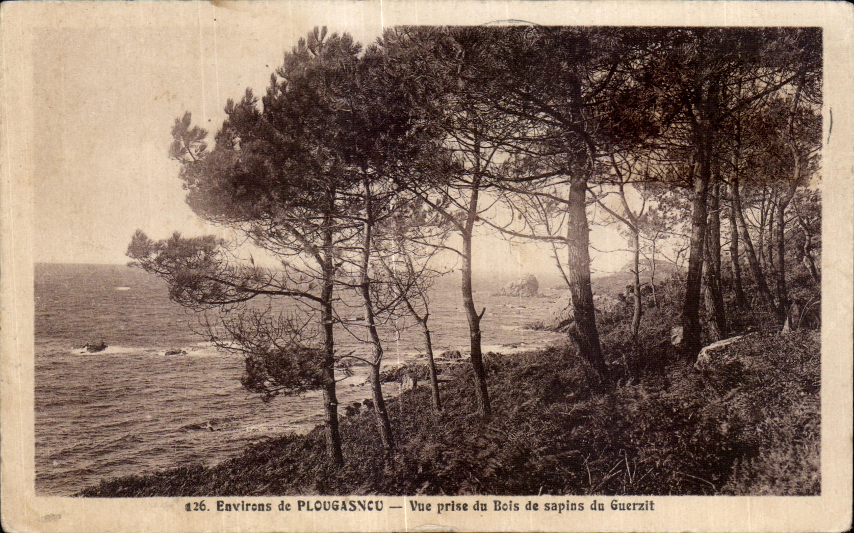 CPA Environs de Plougasnou Vue prise du Bois de sapins du Guerzit