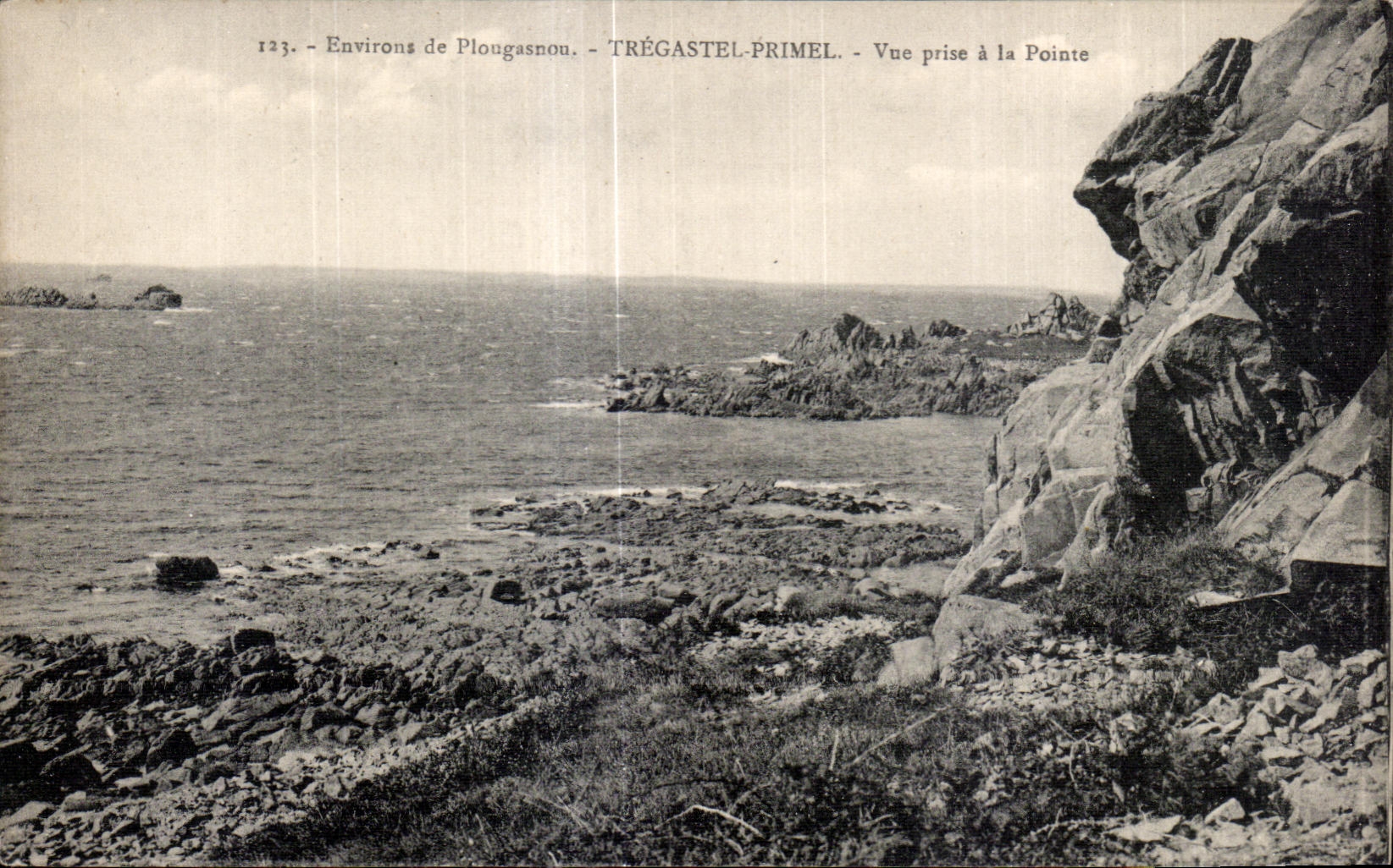 CPA Environs de Plougasnou Tregastel Primel Vue prise a la Pointe