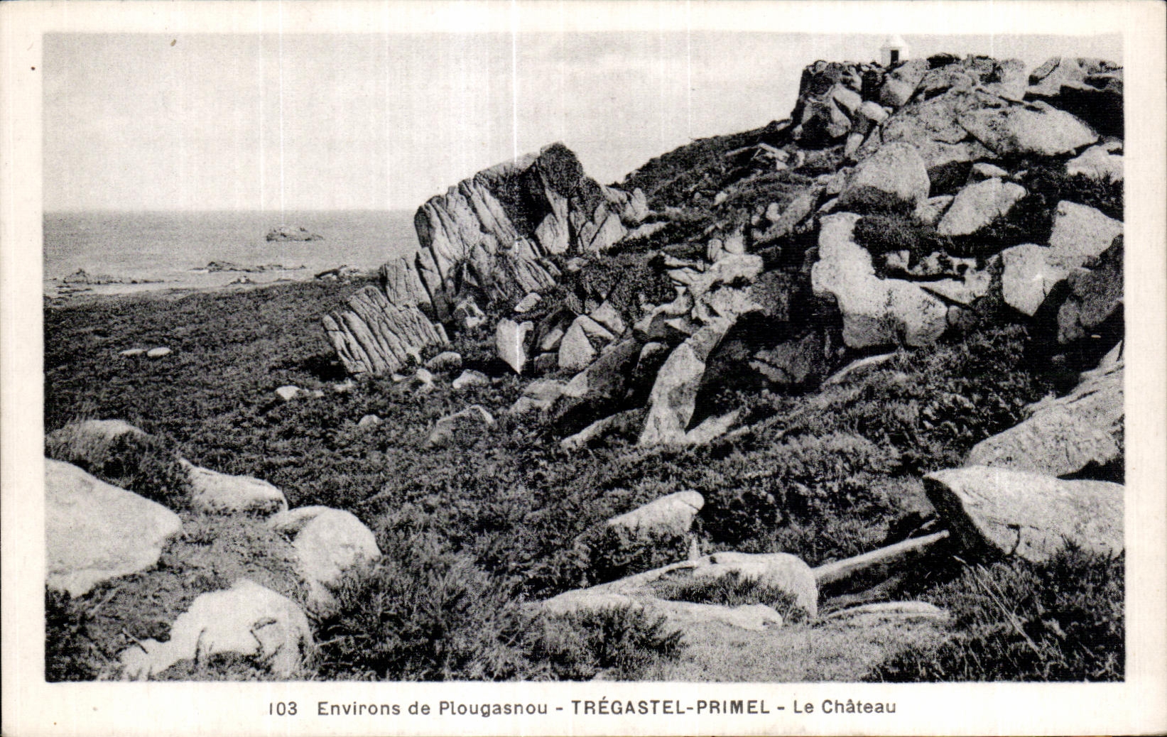 CPA Environs de Plougasnou Tregastel Primel Le Chateau