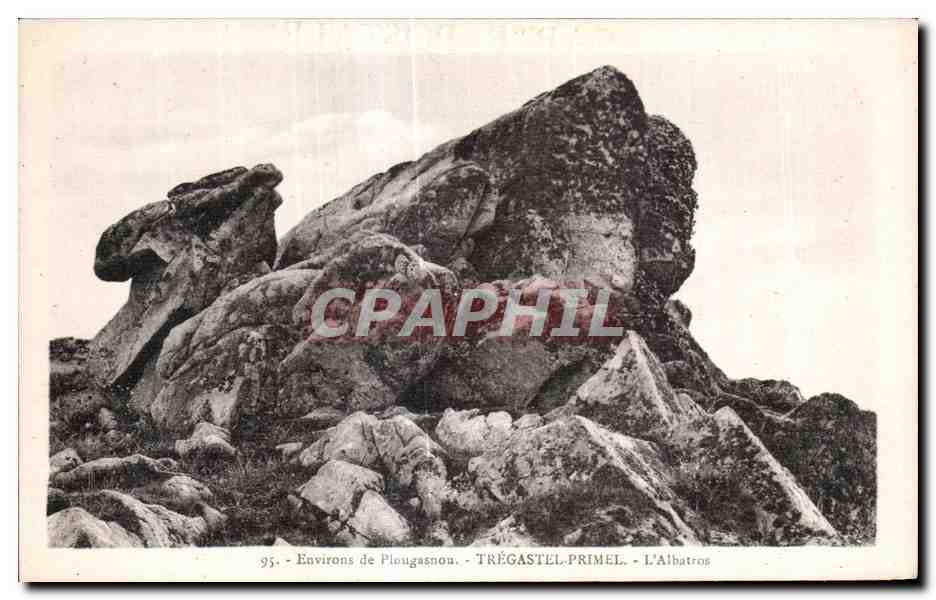 CPA Environs de Plougasnou Tregastel Primel L Albatros