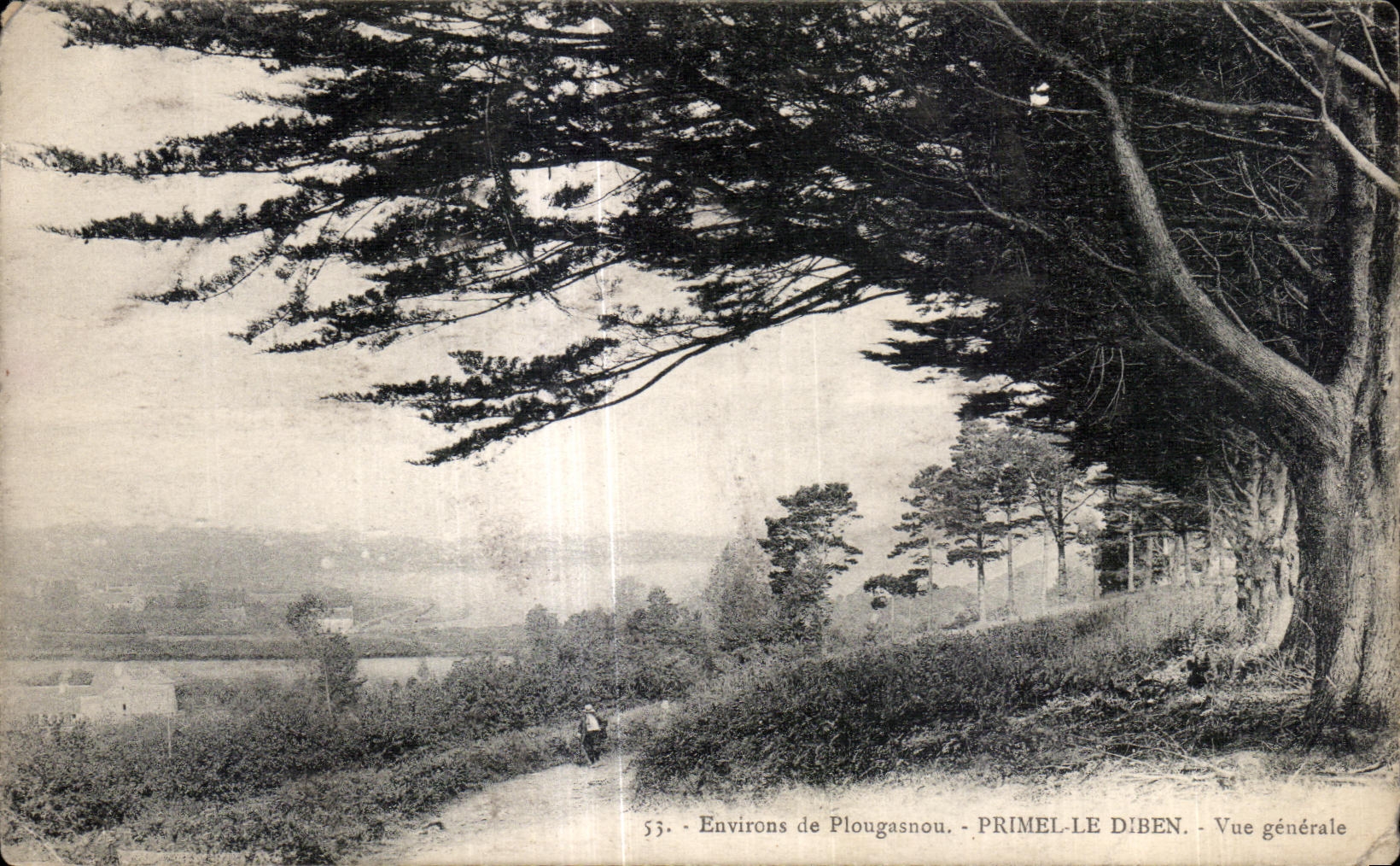 CPA Environs de Plougasnou Primel le Diben Vue generale