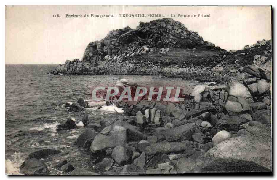 CPA Environs de Plougasnou Tregastel primel La Pointe de Primel