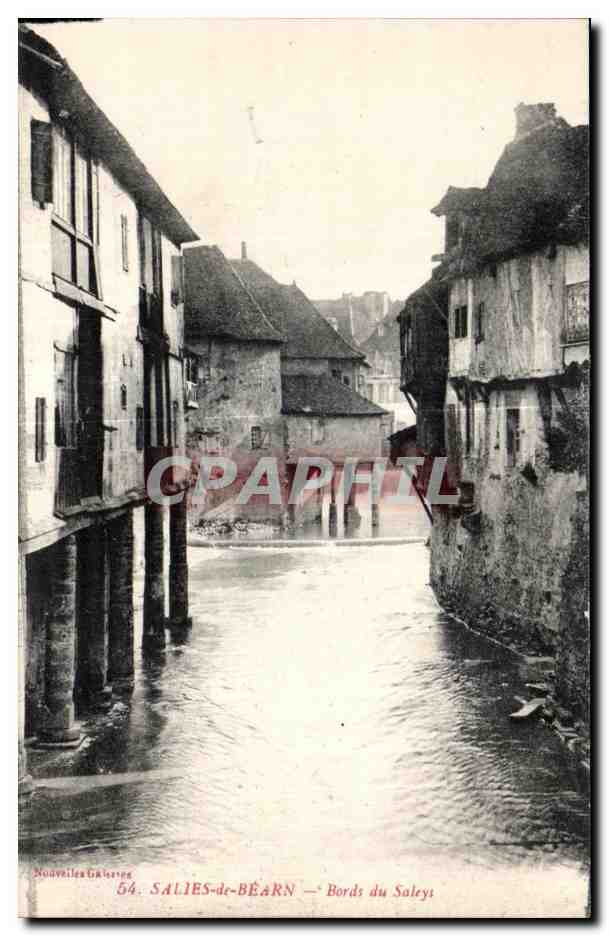 CPA Salies de Bearn Bords du Saleys