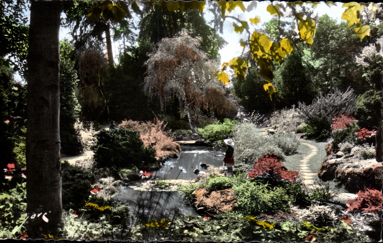 CPA Pau Au parc Baumont Le jardin d anglais 