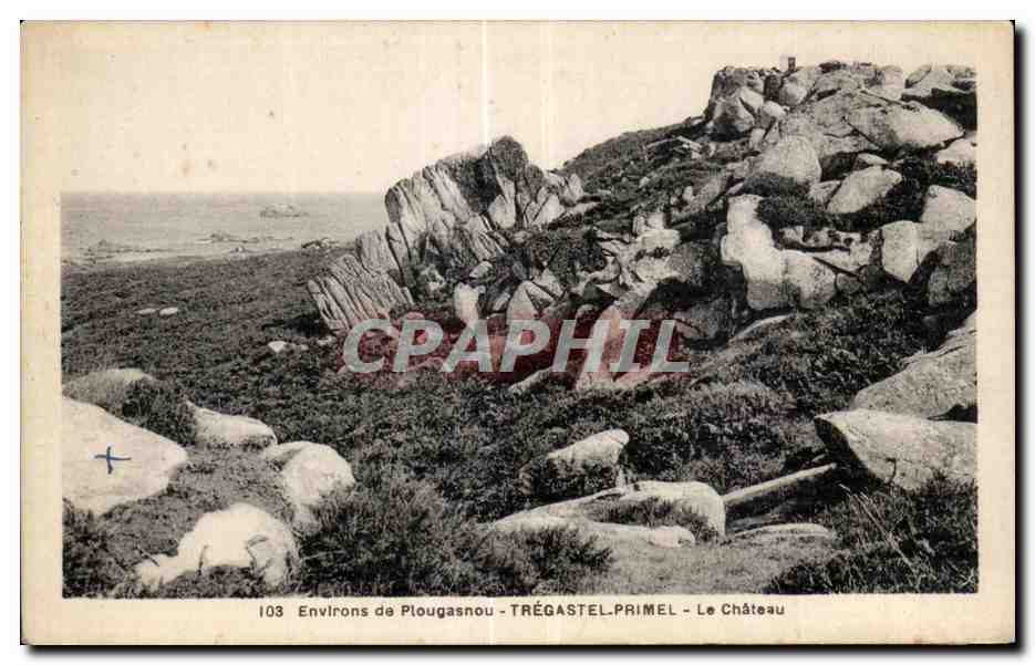 CPA Environs de Plougasnou Tregastel Primel Le Chateau