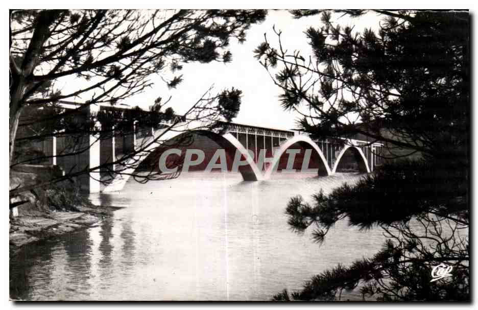 CPA Environs De Brest Pont de Plougastel Daoulas a travers les Pins