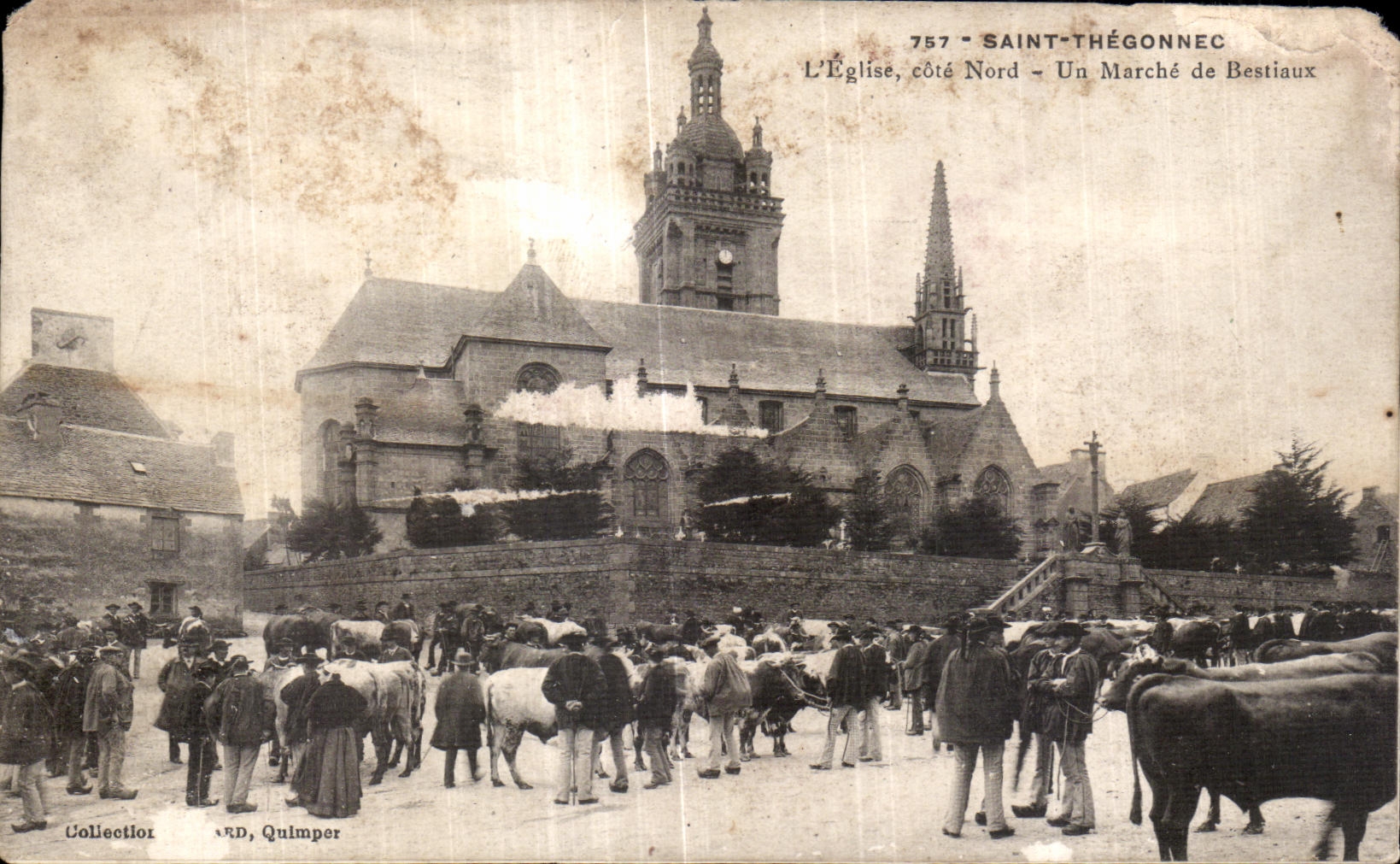CPA Saint Thegonnec L Eglise cote Nord Un Marche de Bestiaux Vaches Boeufs