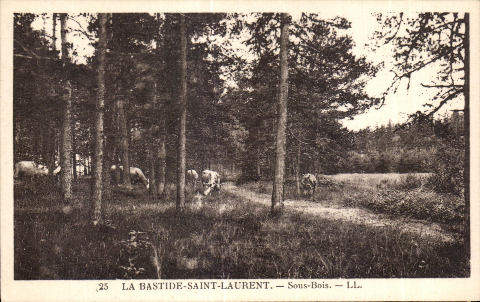 La Bastide-Saint-Laurent — Sous-Bois — L.L.