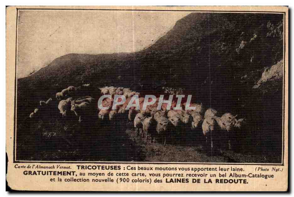 CPA Carte de l Almanach Vermont Tricoteuses Ces beaux moutons vous apportent leur laine Sheep Filatures La redoute