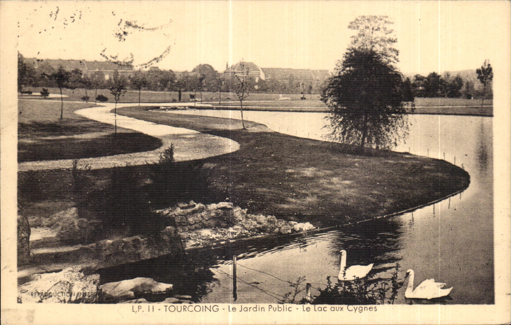 CPA Tourcoing Le Jardin Public Le Lac aux Cygnes Swan