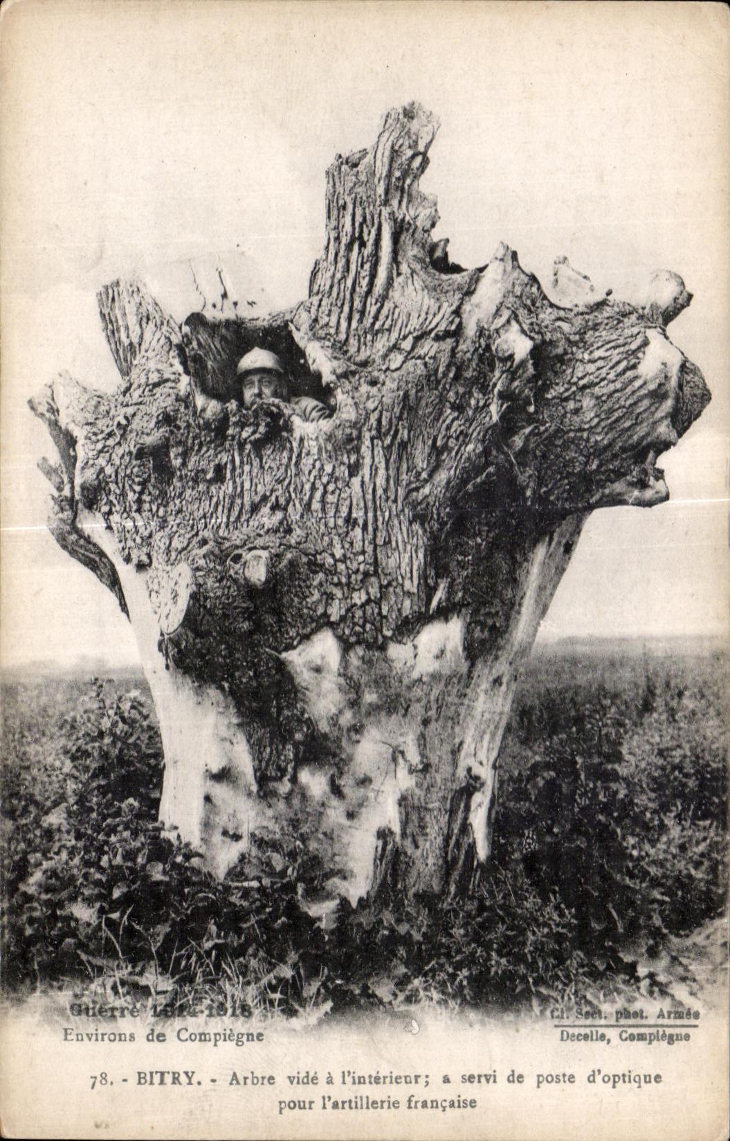 CPA Bitry Arbre vide l interieur a servi de poste d optique pour l artillerie Francaise Militaria
