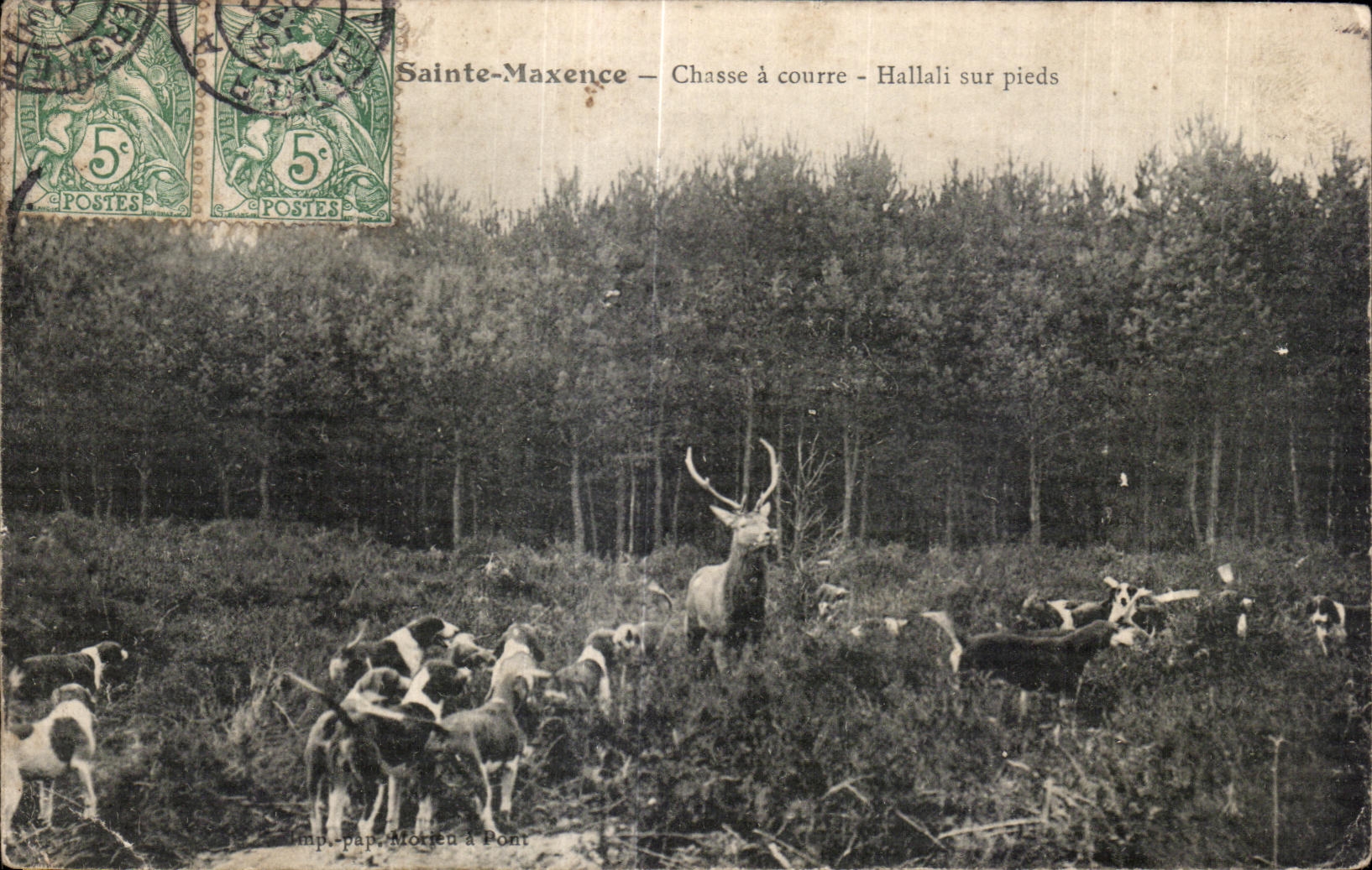 Sainte-Maxence — Chasse à courre - Hallali sur pieds — Imp. pap. Motien à Pont