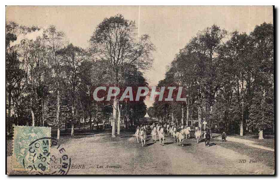 CPA Compiegne Les Avenues Chevaux Cheval Horse 