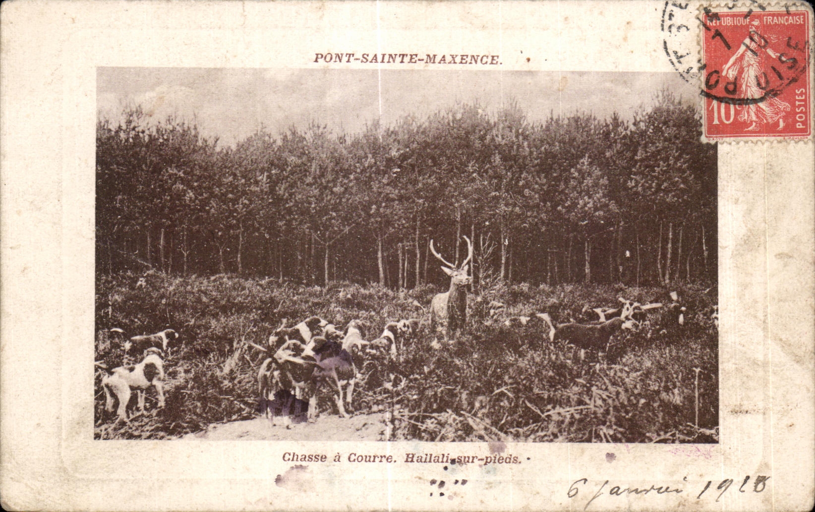 Chasse à Courre. Haillali-sur-pieds. — Pont-Sainte-Maxence — Éditeur non identifié
