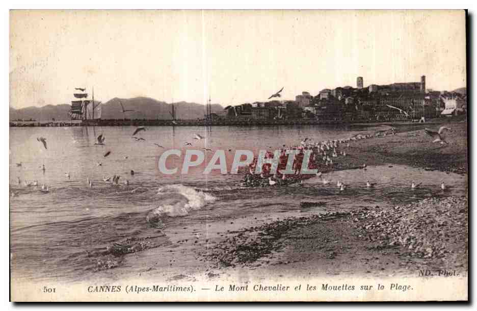 CPA Cannes (Alpes Maritimes) Le Mont Chevalier et les Mouettes sur la Plage