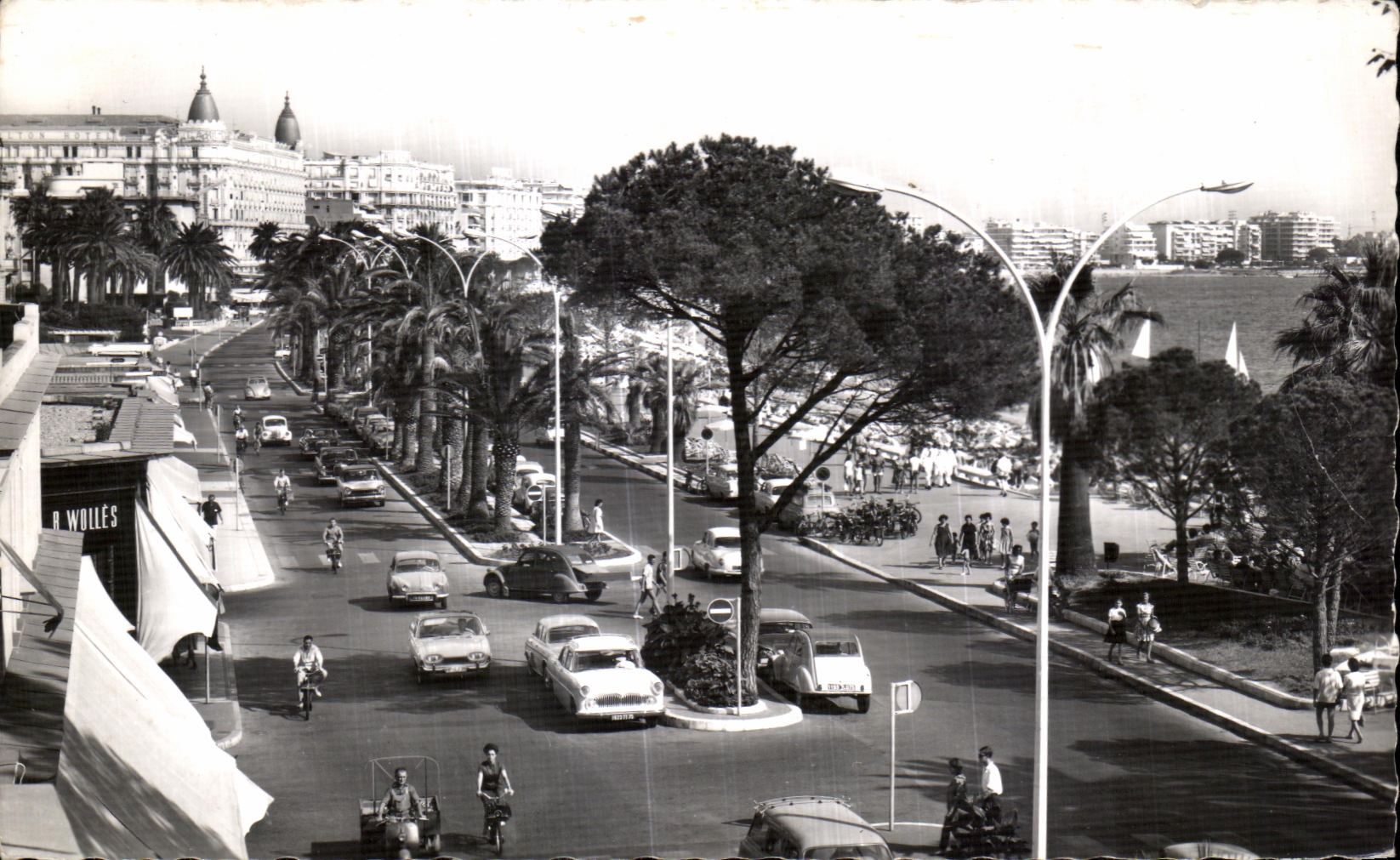 CPA Cannes La Cote d Azur La Promenade de la Croisette 