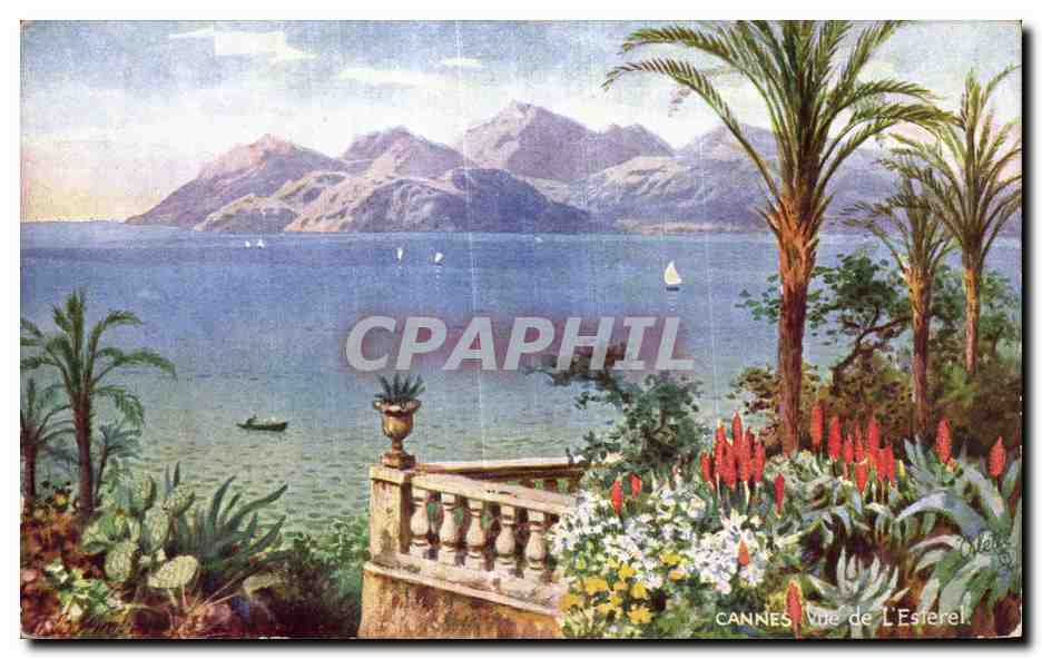 CPA Cannes Vue de l esterel