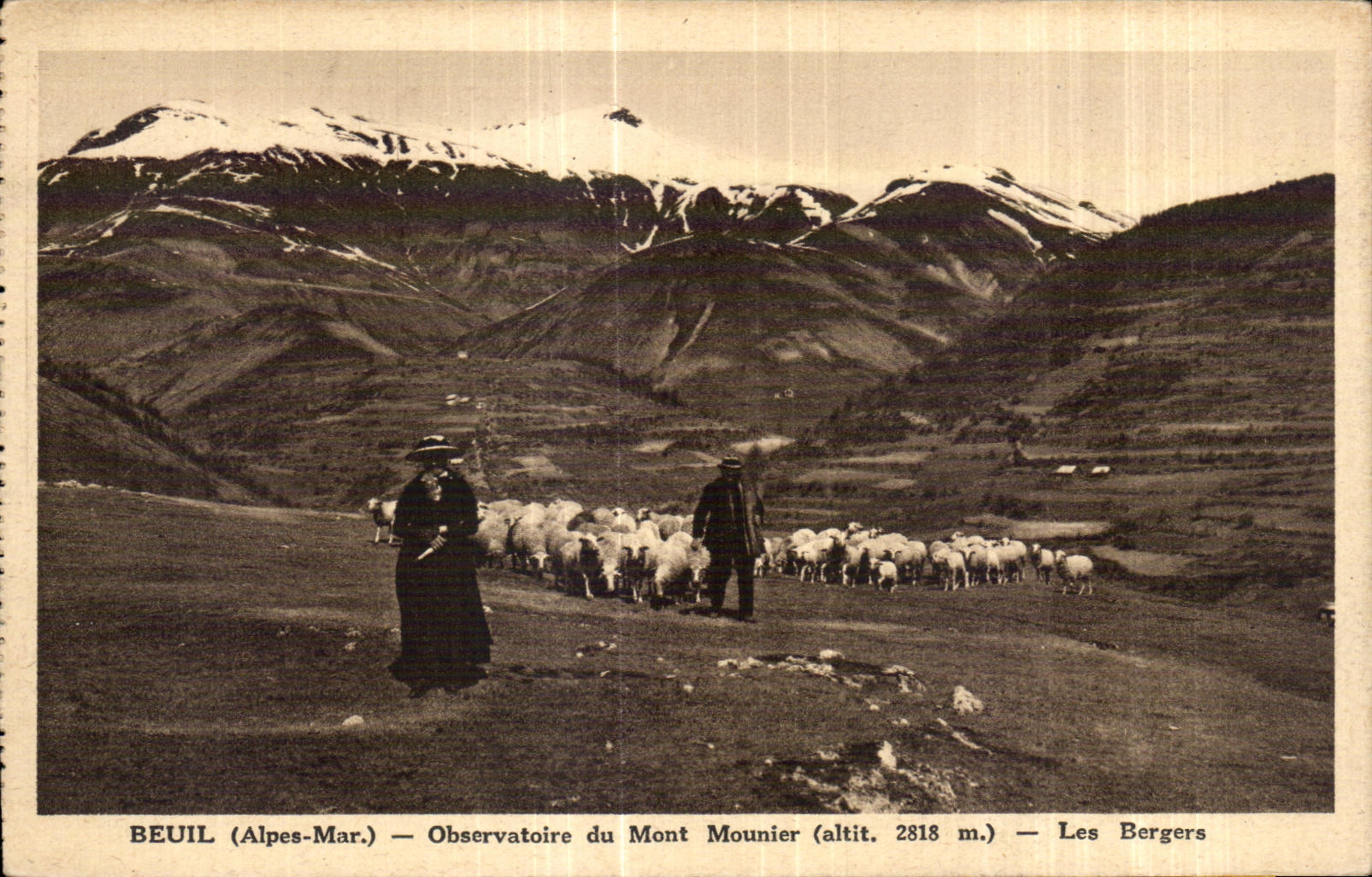 CPA Beuil (Alpes Maritimes) Observatoire du Mont Monuier Les Bergers Moutons Sheep