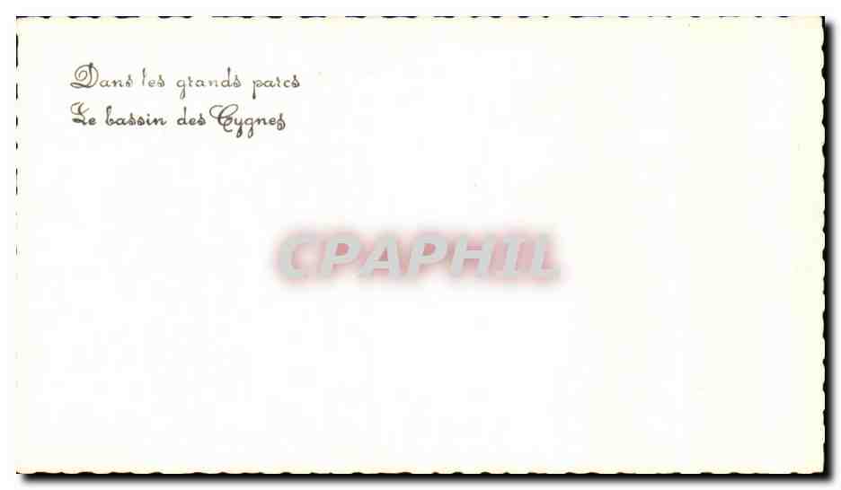 CPSM Vichy Dans les grands parcs Le bassin des cygnes — Rückseite