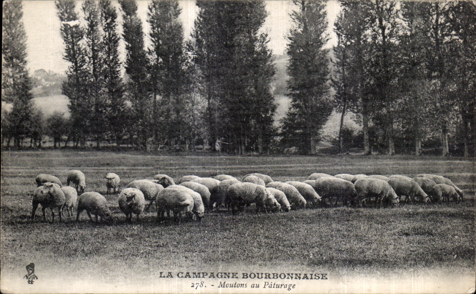 Moutons au Pâturage — LA CAMPAGNE BOURBONNAISE 278.
